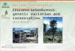 Species conservation strategies Leucaena salvadorensis: genetic variation and conservation David Boshier