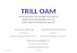 TRILL OAM draft-eastlake-trill-rbridge-channel-00 draft-bond-trill-rbridge-oam-01 draft-manral-trill-bfd-encaps-01 Donald Eastlake 3 rd Huawei Technologies