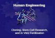 Human Engineering Cloning, Stem-Cell Research, and In Vitro Fertilization