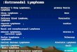 Extranodal Lymphoma: Waldeyer’s Ring Lymphomas, primary Muscle Lymphoma Sinus Lymphomas, Bone Lymphoma Salivery Gland Lymphoma, Pancreatic Lymphoma Thyroid