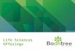 Life Sciences Offerings. 2 Our Lifesciences Center: Brief Snapshot  Over the years Bodhtree has build a dedicated Lifesciences centre providing healthcare