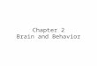 Chapter 2 Brain and Behavior. By the End of this Lecture, Students will be able to: