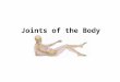 Joints of the Body. Terminology: Articulations – points of contact of joints between 2 connected bones Tendon – attach muscle to bone Ligament – attach
