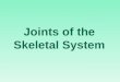 Joints of the Skeletal System. 2 Joints Functions Childbirth Movement Bone growth possible