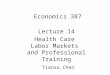 Economics 387 Lecture 14 Health Care Labor Markets and Professional Training Tianxu Chen