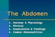The Abdomen 1. Anatomy & Physiology 2. History 3. Examination & Findings 4. Common Abnormalities
