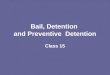 Bail, Detention and Preventive Detention Class 15