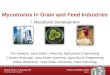 Mycotoxins in Grain and Feed Industries page 1 I. Mycotoxin Development Erin Bowers, Iowa State University, Agricultural Engineering Charles Hurburgh,