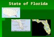 State of Florida State of Florida. State of Florida Symbols of Florida  Flag A red saltire (diagonal cross) on a white background, with the seal of Florida