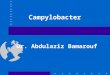 Campylobacter Dr. Abdulaziz Bamarouf. Learning Objectives Describe the general characteristics of the genus Campylobacter List the causative agent, virulence