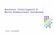 Business Intelligence & Multi-Dimensional Databases Nirmal Jonnalagedda
