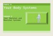 Chapter 13 Your Body Systems Lesson 1 Your Skeletal and Muscular Systems