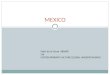 MEXICO Oziel de la Garza 680685 LNI CONTEMPORARY CULTURE GLOBAL UNDERSTANDING