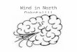 Wind in North Dakota!!!!. Earth’s Force-Wind Westerlies Easterlies Trade winds Cold fronts Warm fronts Global-Local