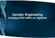 Genetic Engineering changing DNA within an organism