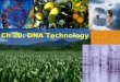 Ch 20: DNA Technology. The mapping and sequencing of the human genome has been made possible by advances in DNA technology. Human genome project We are