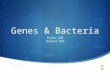 Genes & Bacteria Packet #48 Chapter #18.  The Anatomy of Bacteria