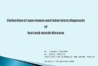 Collection of specimens and laboratory diagnosis of foot and mouth disease Dr. Claudiu DIACONU Dr. Mihai TURCITU INSTITUTE FOR DIAGNOSIS AND ANIMAL HEALTH