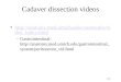 24-1 Cadaver dissection videos  deo_index.html deo_index.html –Gastrointestinal: