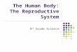 The Human Body: The Reproductive System 8 th Grade Science