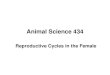 Animal Science 434 Reproductive Cycles in the Female