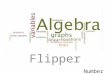 Flipper Numbers. Natural Numbers: Whole Numbers: Integers: Rational Numbers: Fractions, decimals that end, decimals that repeat Irrational Numbers: Decimals