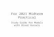 For 2021 Midterm Practical Study Guide for Models with Blood Vessels