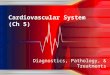 Cardiovascular System (Ch 5) Diagnostics, Pathology, & Treatments