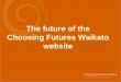 The future of the Choosing Futures Waikato website