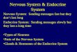 Nervous System & Endocrine System Nervous System: Sending messages fast but they don’t last long Endocrine System: Sending messages slowly but they last