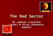 The Red Sector By Jameson (Location scout) & Alisa (Resource expert)