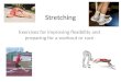 Stretching Exercises for improving flexibility and preparing for a workout or race