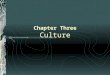 Chapter Three Culture. What is Culture? Th e values, beliefs, behavior, and material objects that form a people’s way of life. Non Material culture -