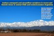 Andean snowpack and streamflow variations in recent and historic times in central Chile and central-western Argentina Mariano Masiokas Ricardo Villalba