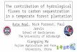 The contribution of hydrological fluxes to carbon sequestration in a temperate forest plantation Kate Heal, Nick Forrest, Paul Jarvis School of GeoSciences