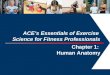 1 ACE’s Essentials of Exercise Science for Fitness Professionals Chapter 1: Human Anatomy