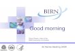 Good morning Bruce Rosen, chair of the BIRN Executive Committee