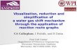 Visualization, reduction and simplification of a water gas shift mechanism through the application of reaction route graphs CA Callaghan, I Fishtik, and