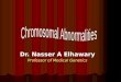 Dr. Nasser A Elhawary Professor of Medical Genetics