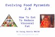Evolving Food Pyramids 2.0 X How To Eat To Reduce Visceral Fat Dr Darag Rennie MBChB 