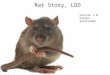 Rat Story, LDD Version 1.0 Pajman Sarafzadeh. Features 3 separate environments -1) Step by step tutorial -2) Traversal -3) Water adventure Introduction