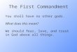 The First Commandment You shall have no other gods. What does this mean? We should fear, love, and trust in God above all things