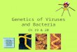 Genetics of Viruses and Bacteria Ch 19 & 20 Everything you need to know about viruses
