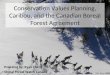 Conservation Values Planning, Caribou, and the Canadian Boreal Forest Agreement Prepared by: Ryan Cheng Global Forest Watch Canada