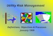 Utility Risk Management Definitions, Objectives & Processes January 1999