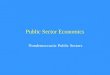 Public Sector Economics Nondemocractic Public Sectors