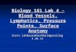 Biology 161 Lab 4 - Blood Vessels, Lymphatics, Pressure Points, Surface Anatomy Scott.lehbauer@lethbridgecollege.ab.ca