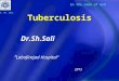 Tuberculosis Dr.Sh.Sali “ Labafinejad Hospital” 2013 In the name of God Dr. Sh. Sali