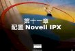 © 1999, Cisco Systems, Inc. 11-1 第十一章 配置 Novell IPX