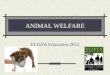 ANIMAL WELFARE ELISTA Education 2012. Freedom from Pain, Injury & Disease